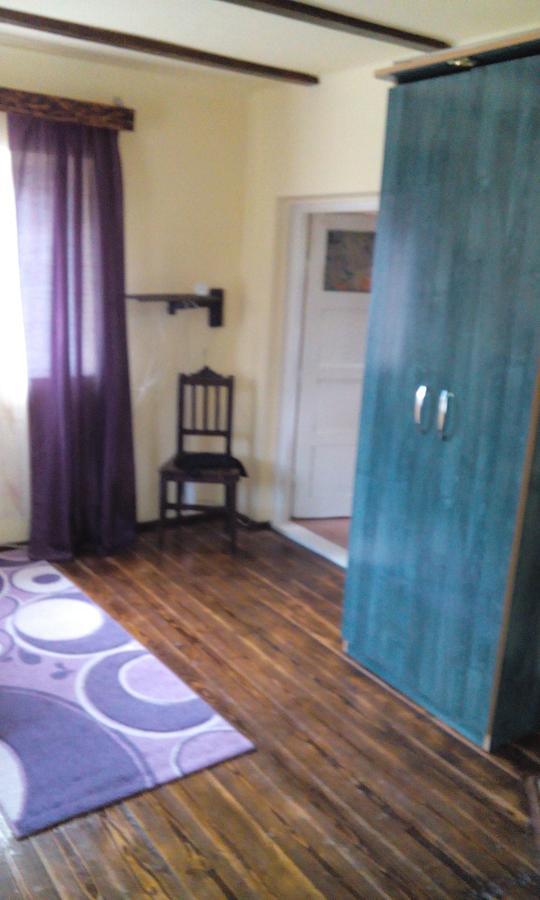 Casa Cosmin Guest House Dobra Ngoại thất bức ảnh