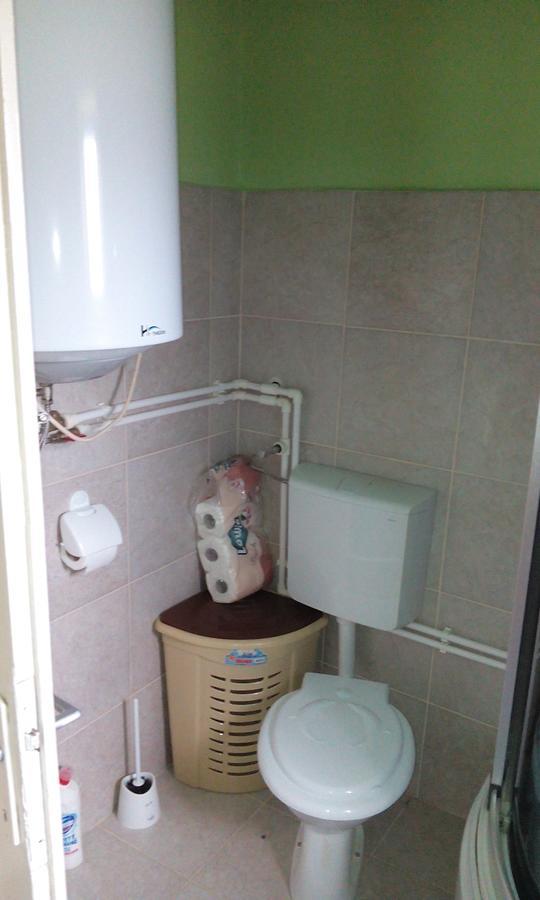 Casa Cosmin Guest House Dobra Ngoại thất bức ảnh