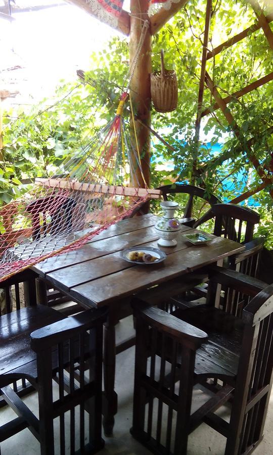 Casa Cosmin Guest House Dobra Ngoại thất bức ảnh