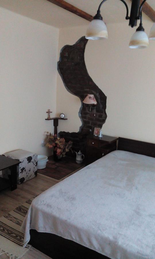 Casa Cosmin Guest House Dobra Ngoại thất bức ảnh