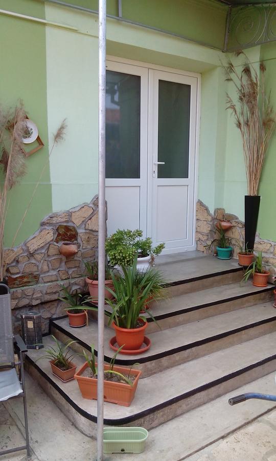 Casa Cosmin Guest House Dobra Ngoại thất bức ảnh