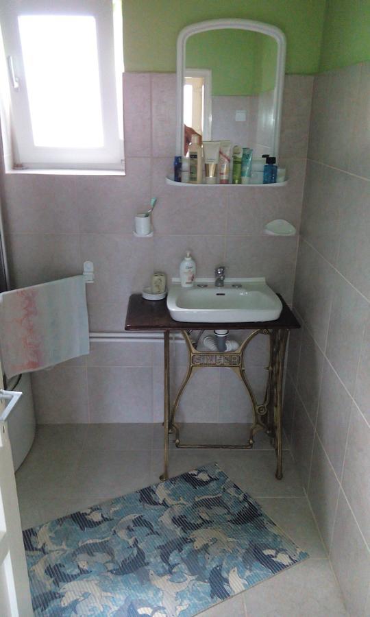 Casa Cosmin Guest House Dobra Ngoại thất bức ảnh
