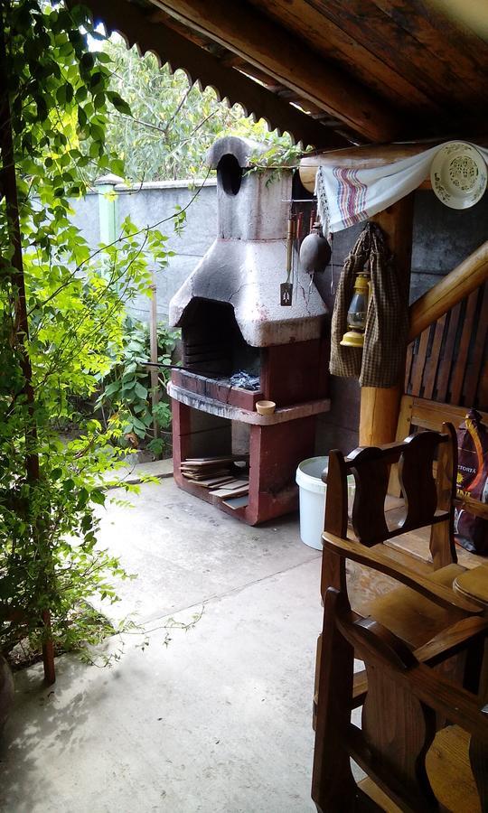 Casa Cosmin Guest House Dobra Ngoại thất bức ảnh