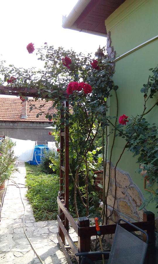 Casa Cosmin Guest House Dobra Ngoại thất bức ảnh